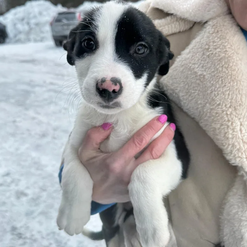 Ct Marcus thumbnail 2