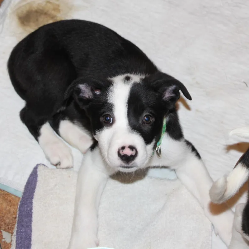 Ct Marcus thumbnail 3