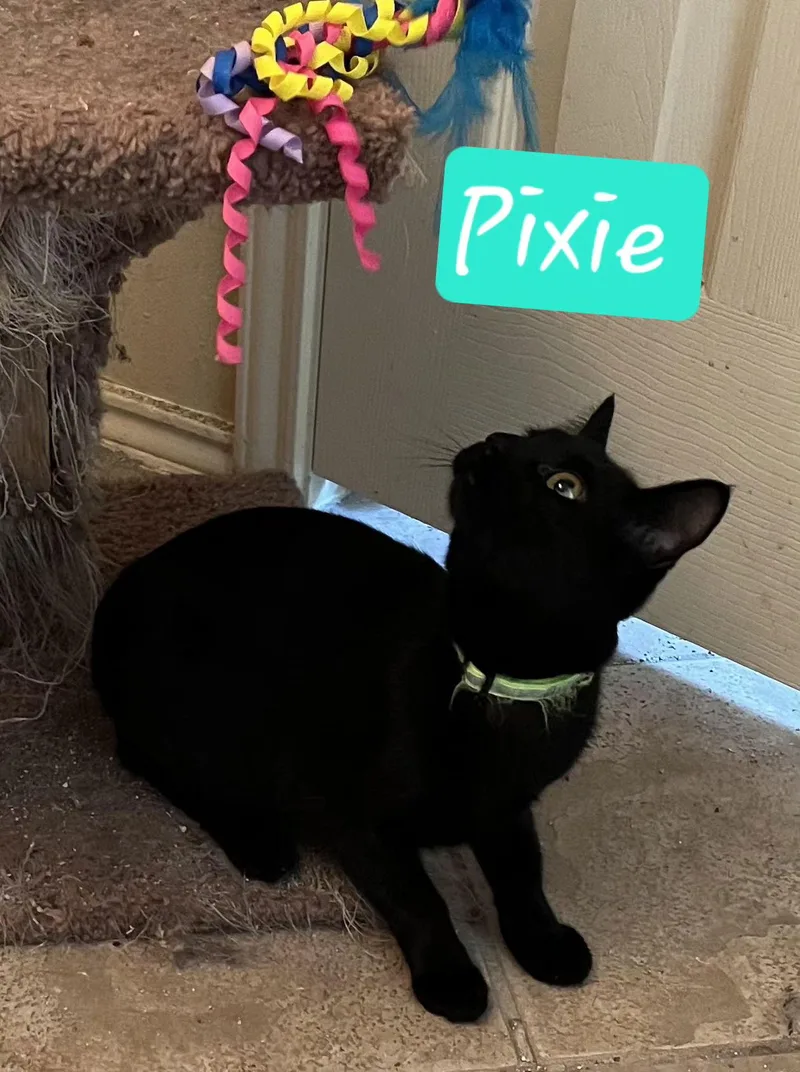 Pixie