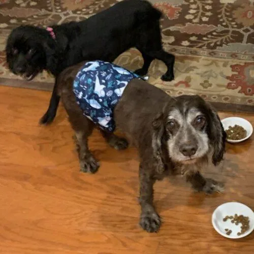 Trombone thumbnail 2