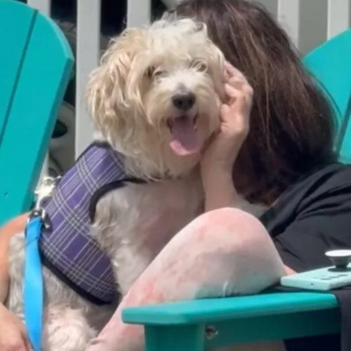 Mr.  Marbles photo 1