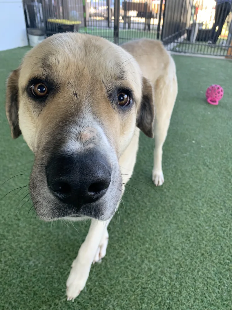 Chutters thumbnail 3