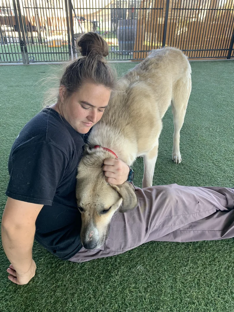 Chutters thumbnail 4