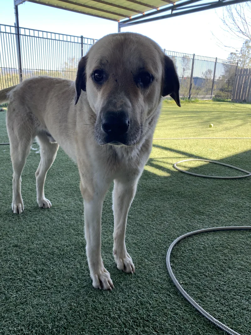 Chutters thumbnail 5