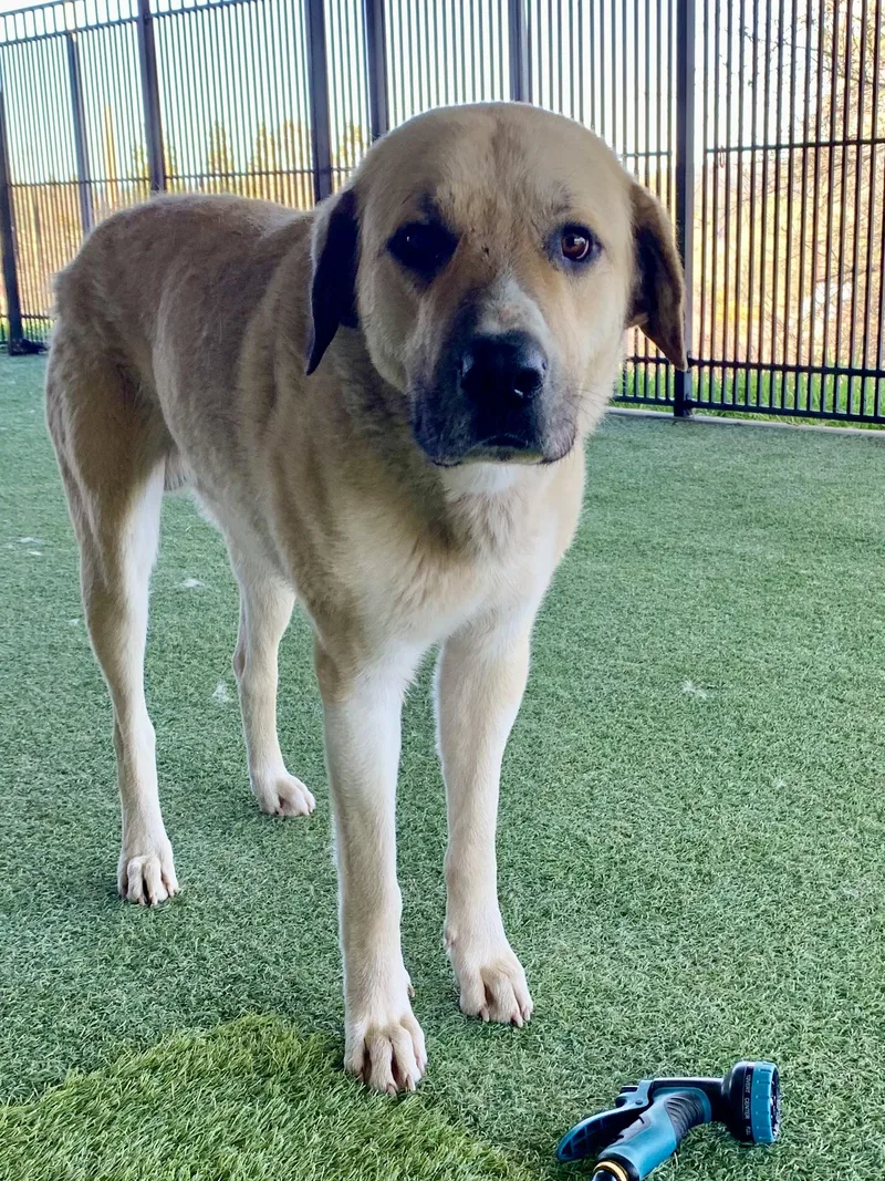 Chutters thumbnail 6