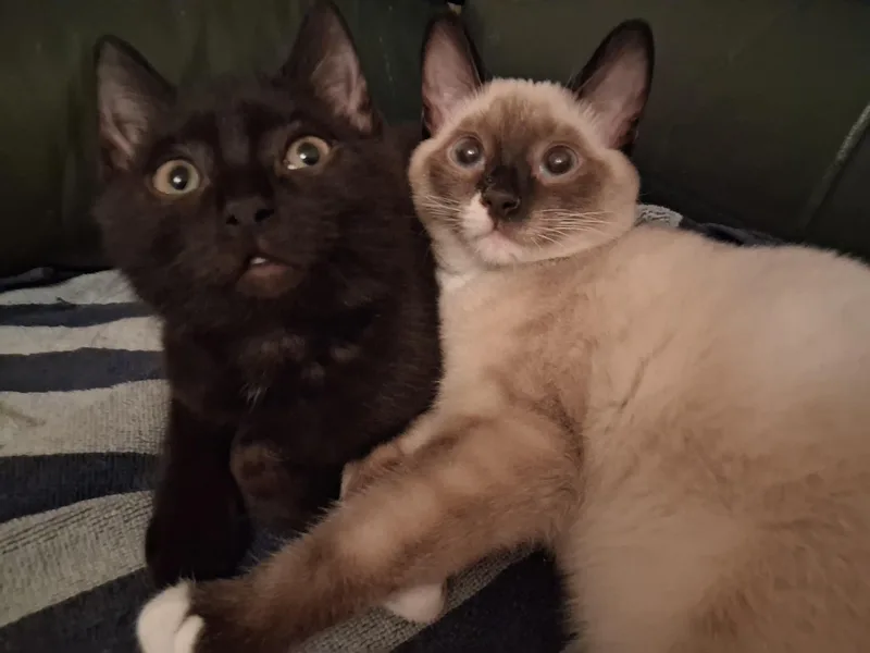 Xina And Little Bear