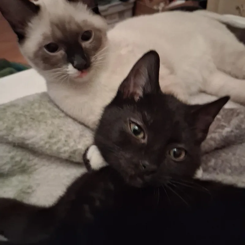 Xina And Little Bear thumbnail 2