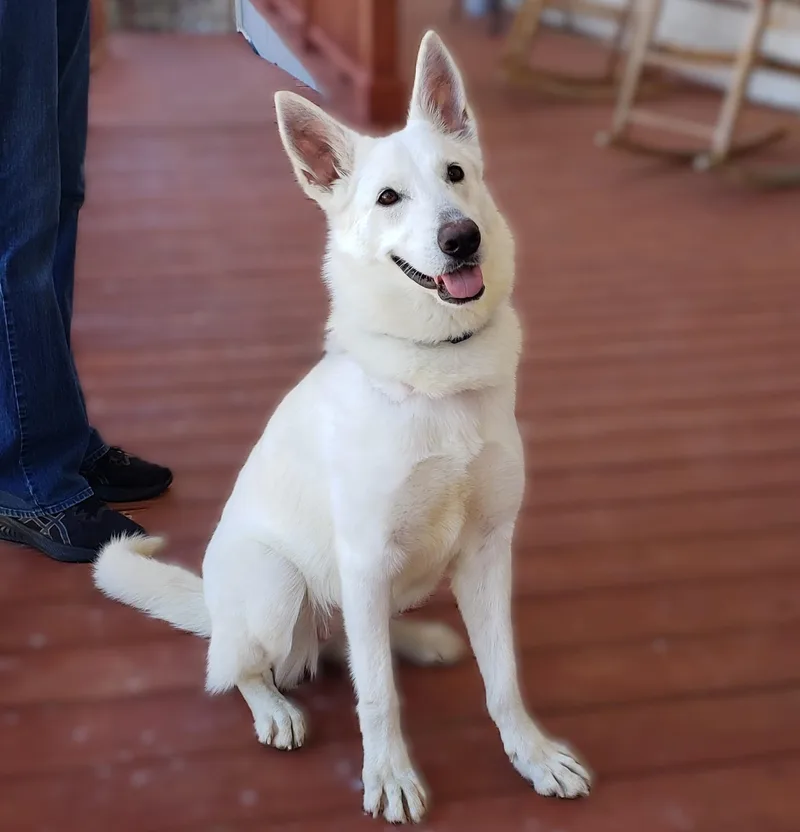 Robin Buckley thumbnail 2