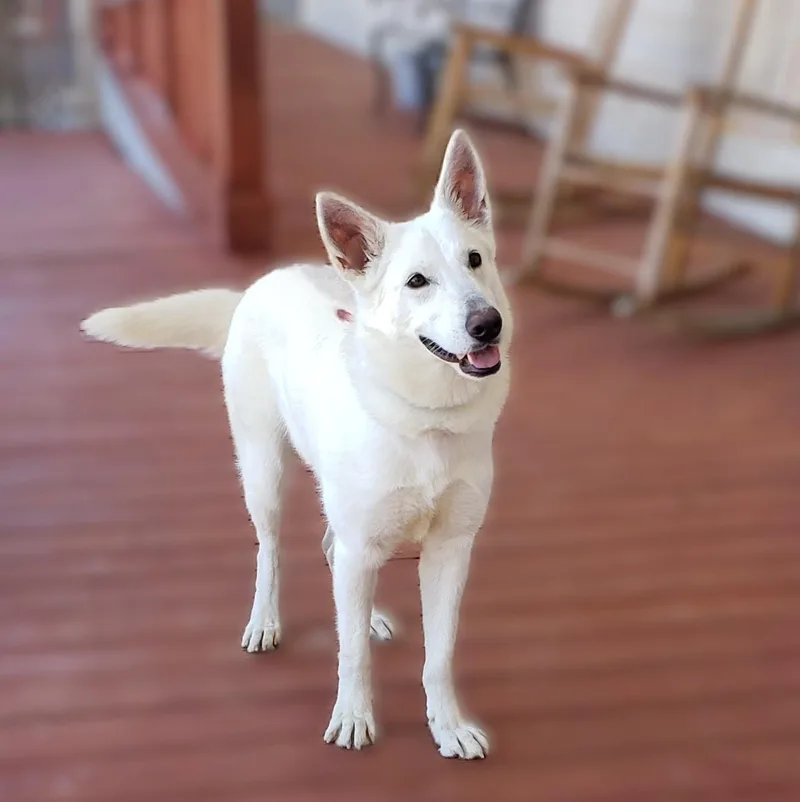 Robin Buckley thumbnail 3