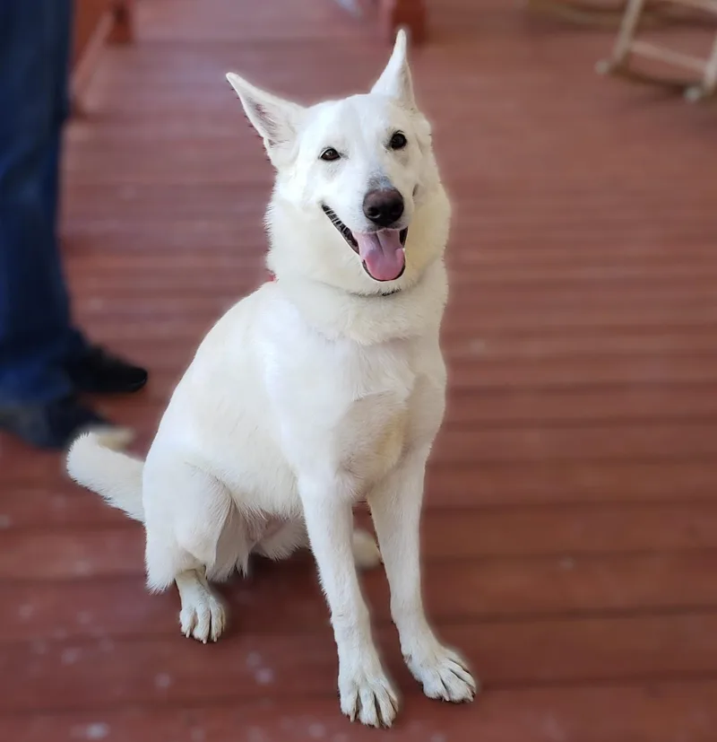 Robin Buckley thumbnail 4