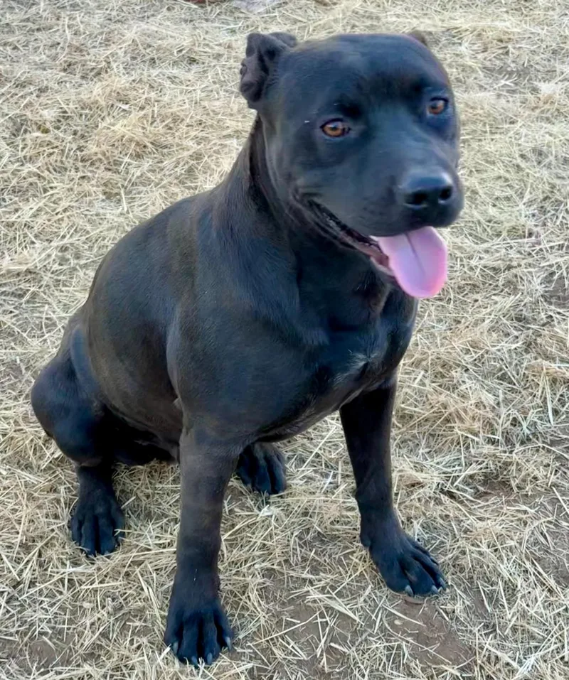 Einstein thumbnail 3