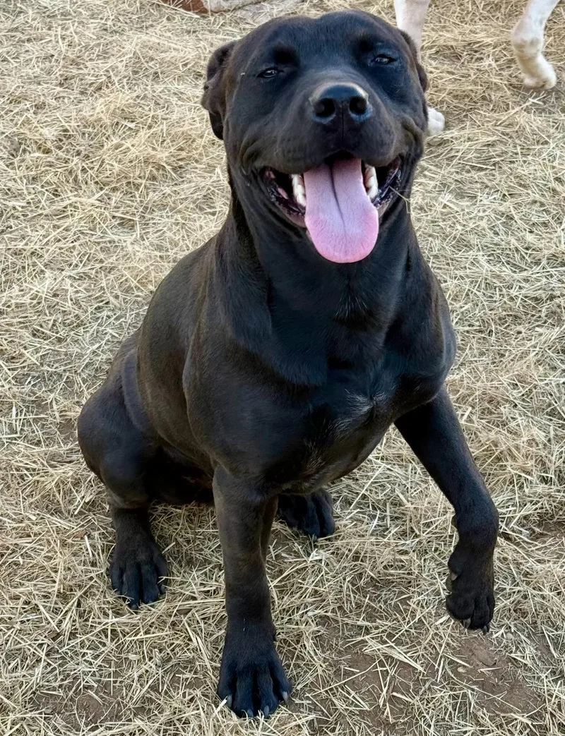 Einstein thumbnail 4