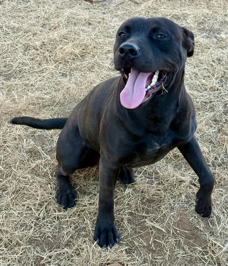 Einstein thumbnail 5