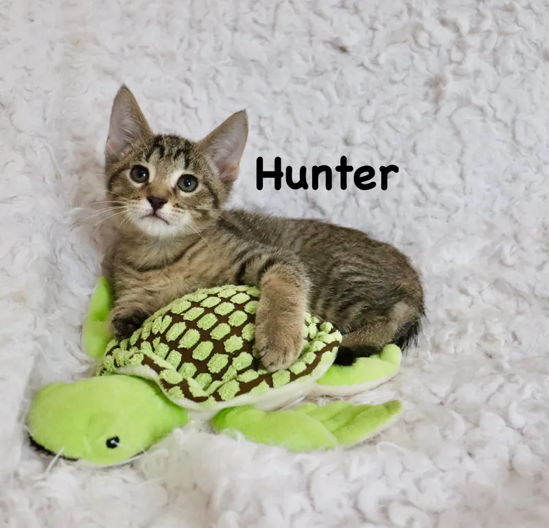 Hunter