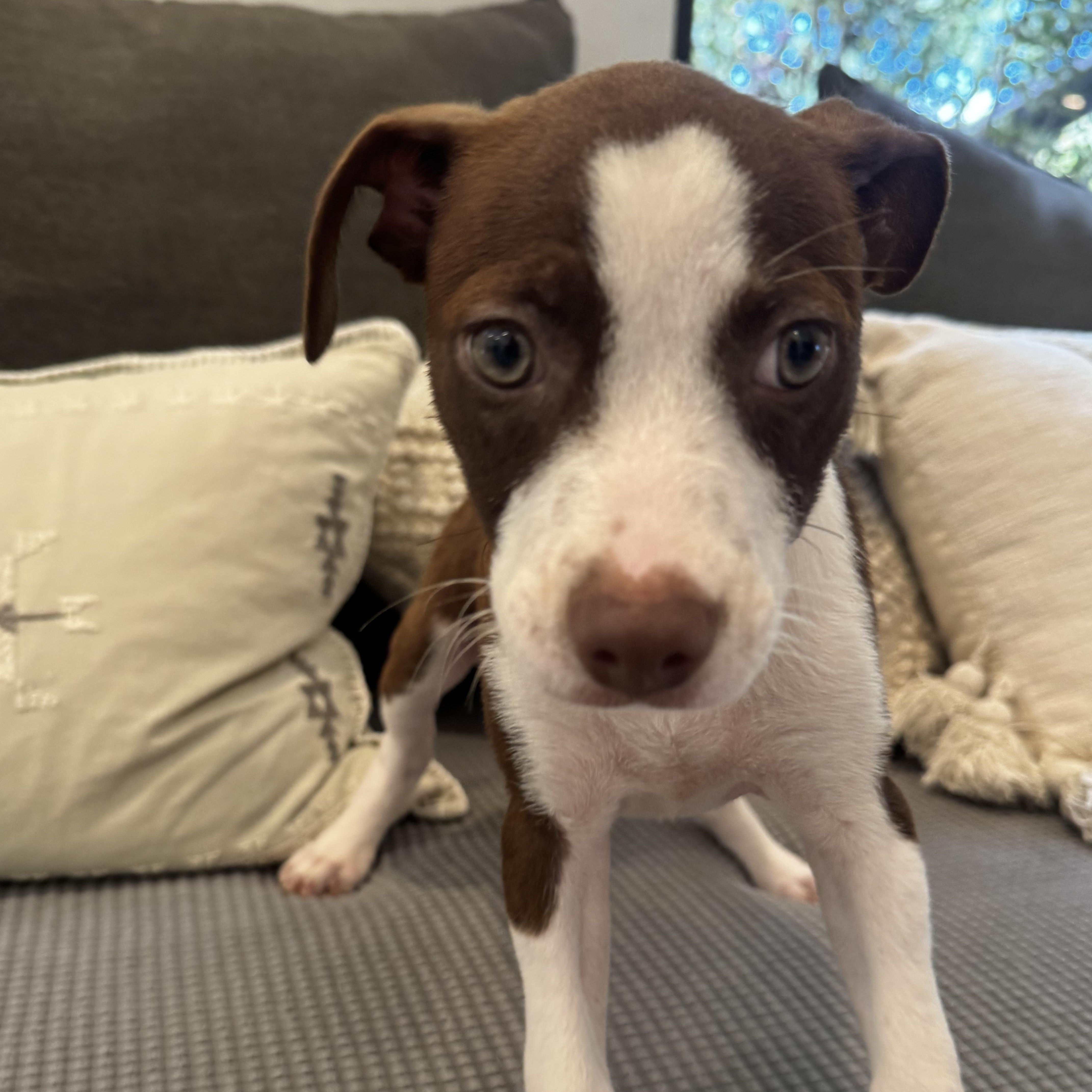 Tilly: She Love To thumbnail 2