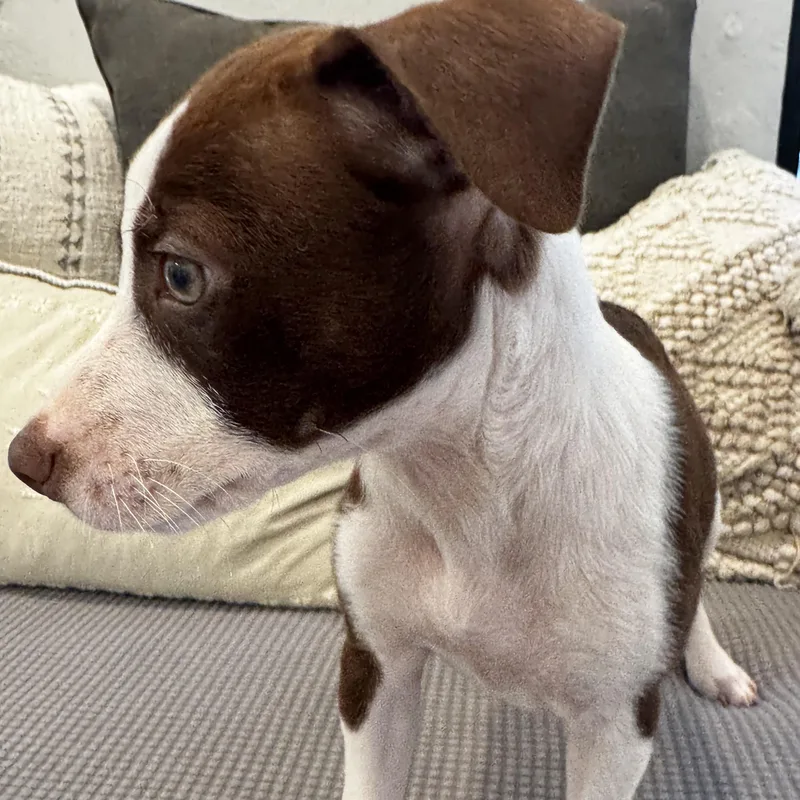 Tilly: She Loves To thumbnail 2