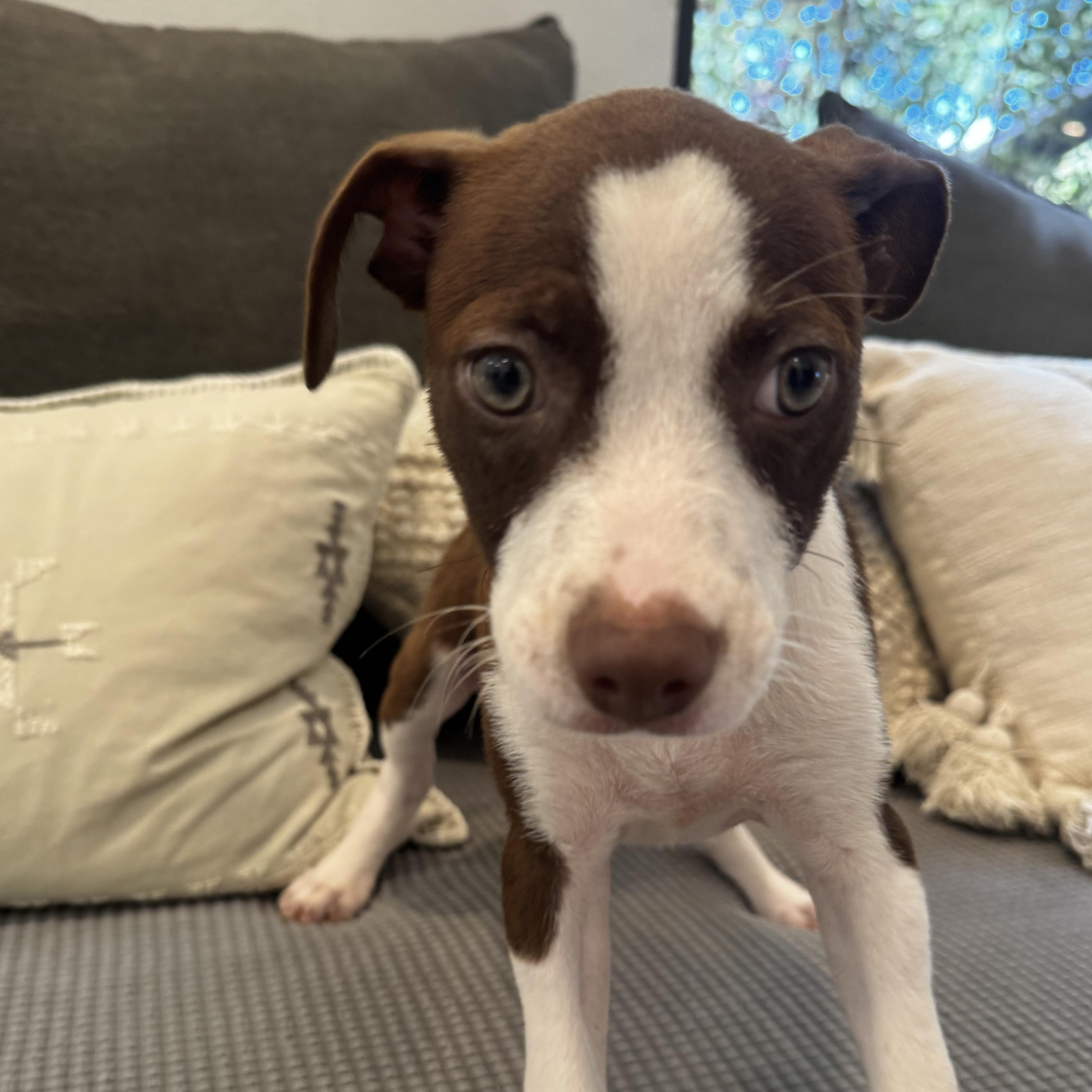 Tilly: She Loves To thumbnail 4