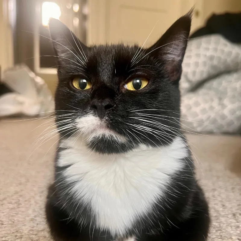 Skittles thumbnail 2