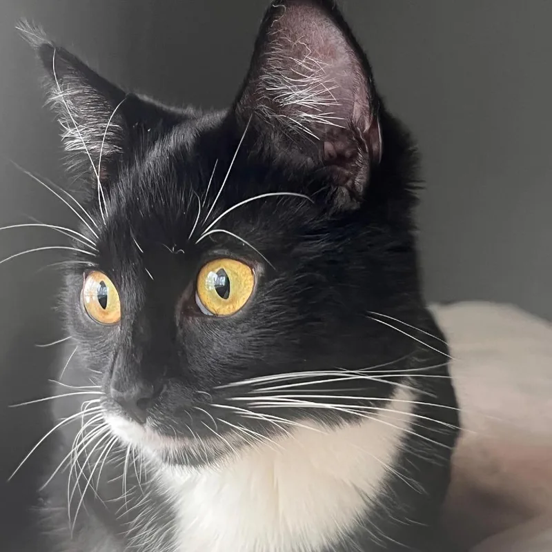 Skittles thumbnail 5