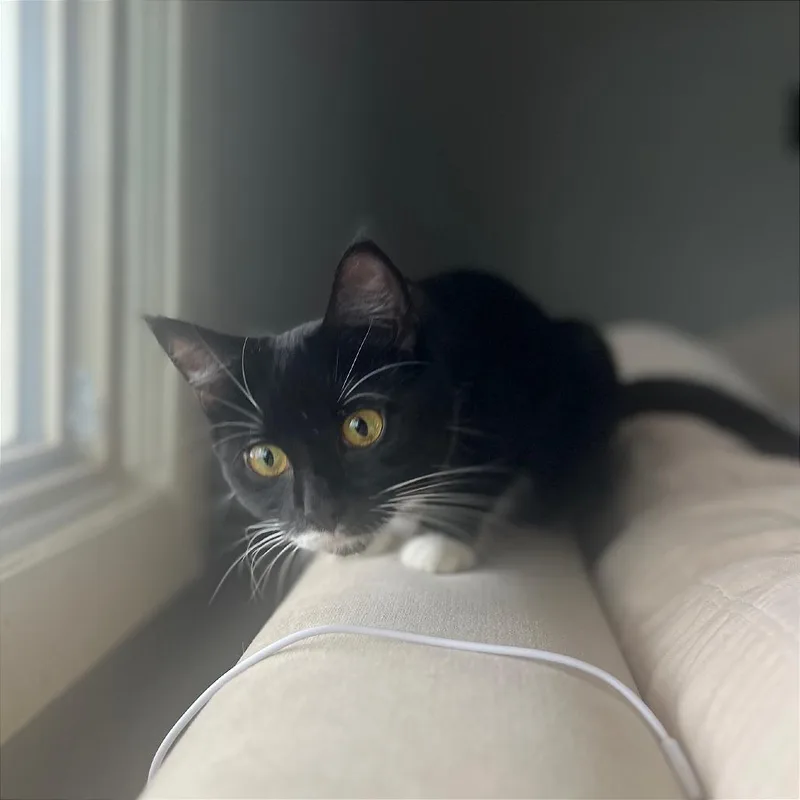 Skittles thumbnail 6