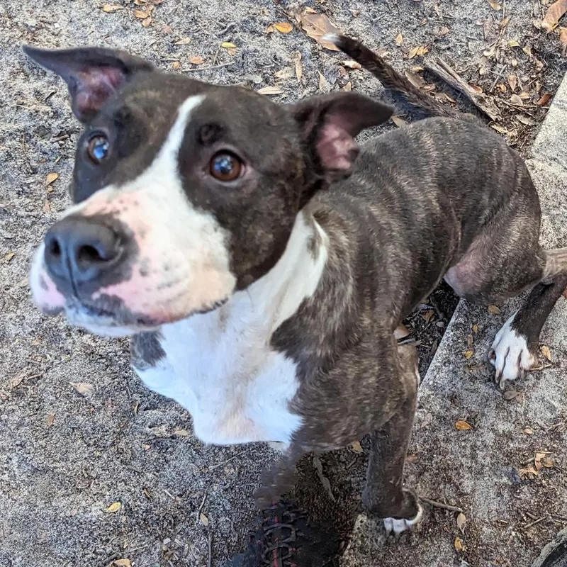 Hera Love thumbnail 2