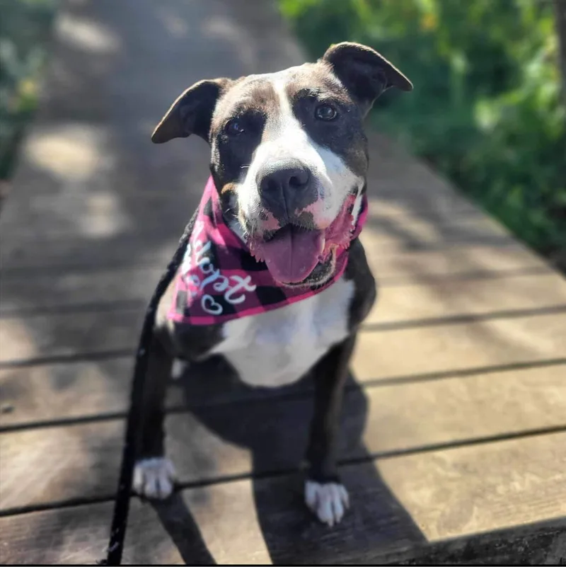 Hera Love thumbnail 3