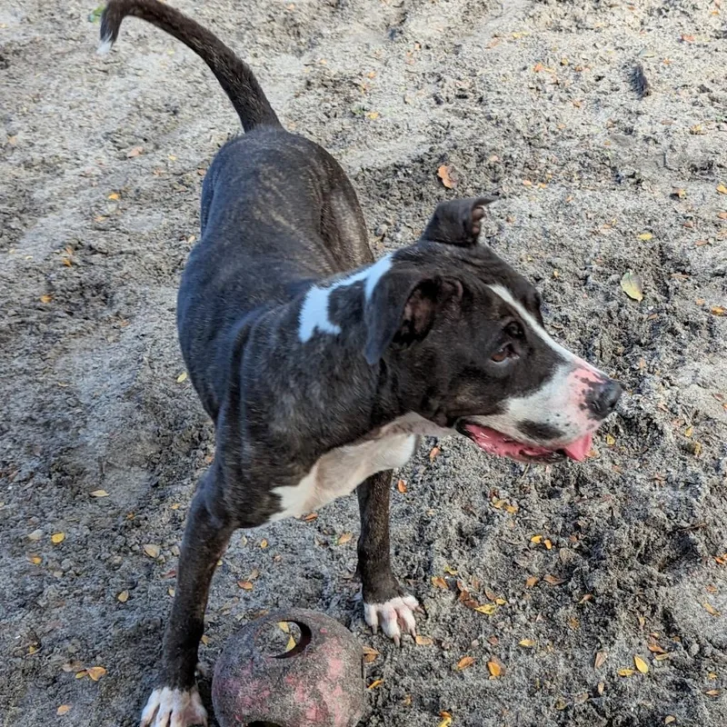 Hera Love thumbnail 4