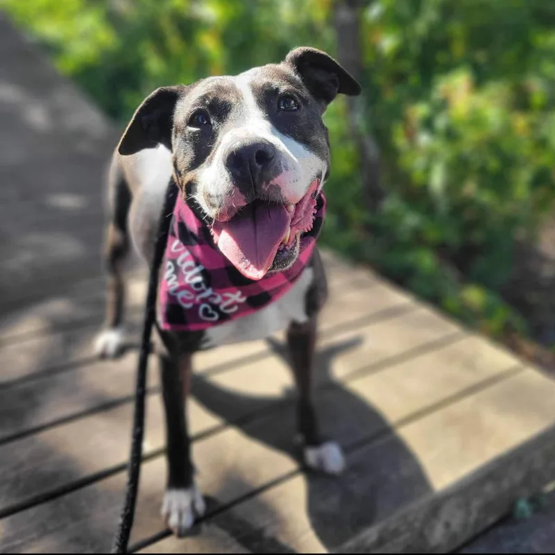 Hera Love thumbnail 5