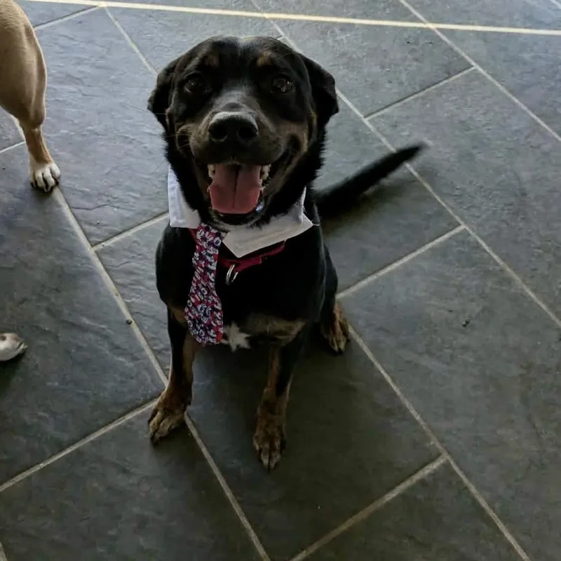 Benedict thumbnail 3