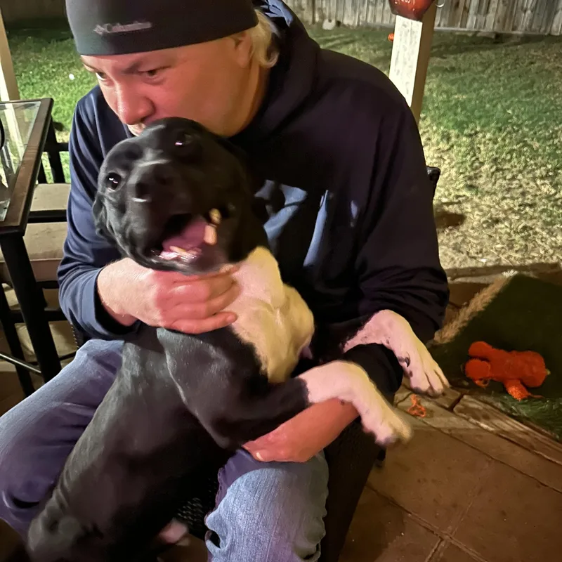 Spike Lee thumbnail 3