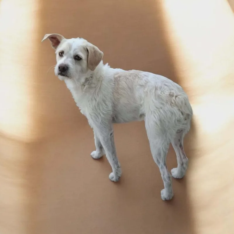 Thor Odinson thumbnail 2