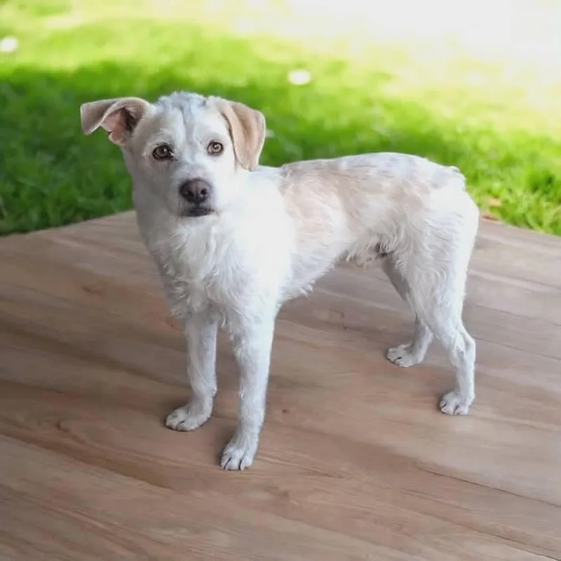 Thor Odinson thumbnail 3