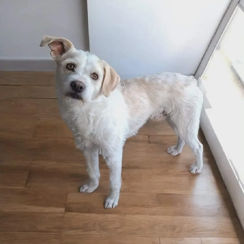 Thor Odinson thumbnail 4