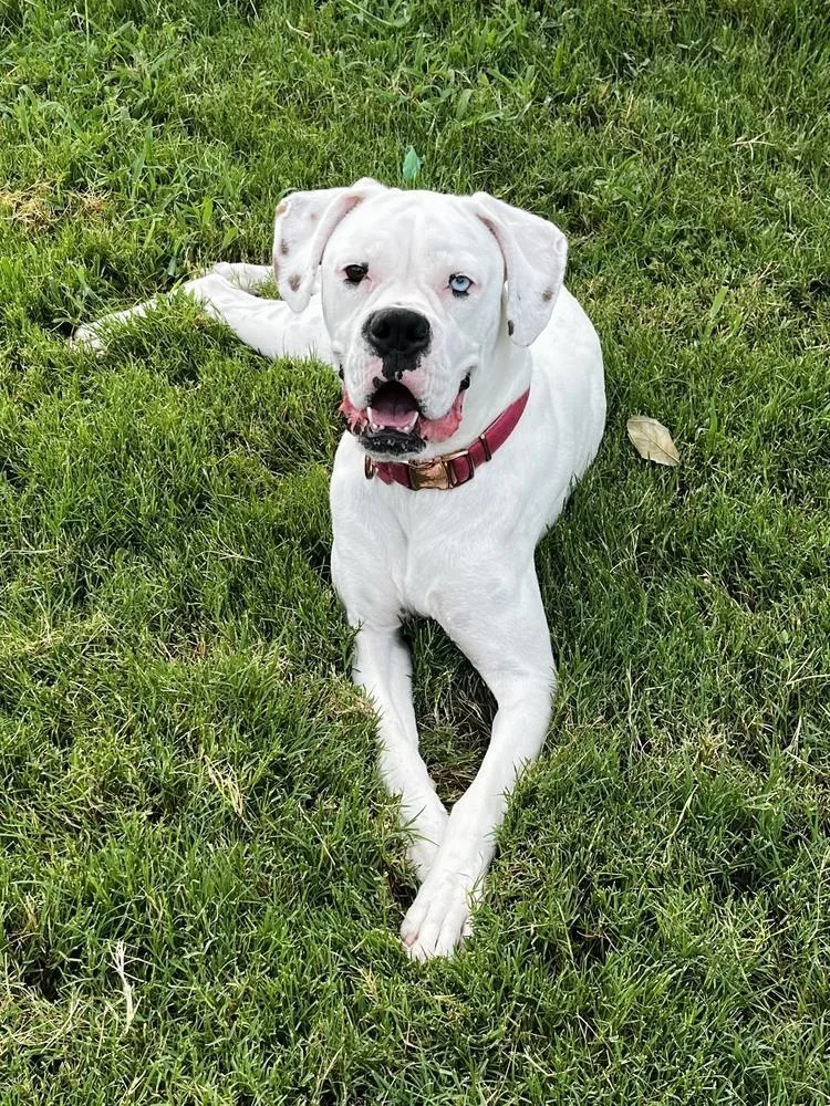 Sahara  Abr Return thumbnail 3