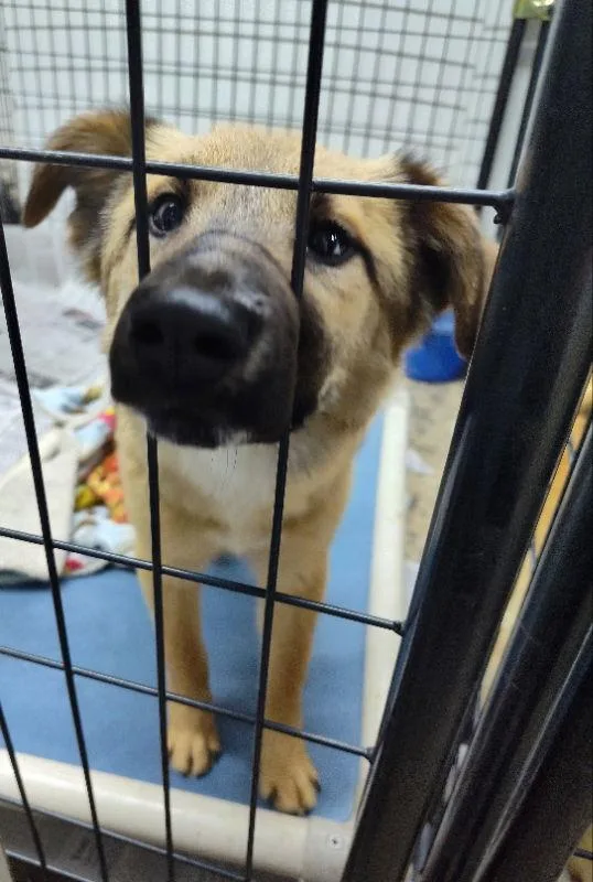 Tatiana Or Anastasia thumbnail 2