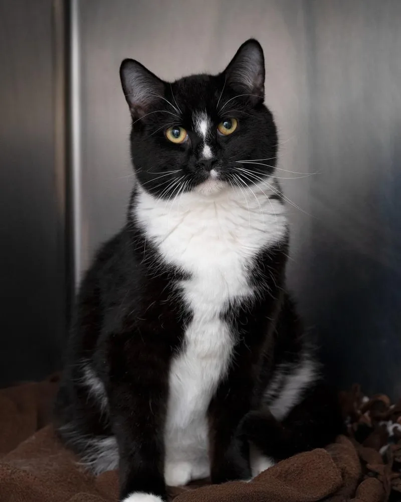 Sam Bonded With Sissy