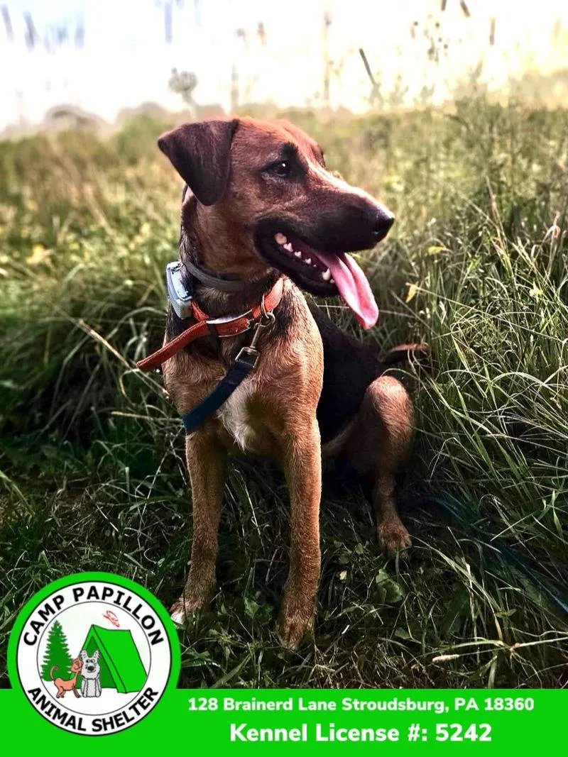 Precious thumbnail 2