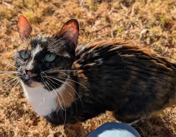 Princess Penelope thumbnail 2