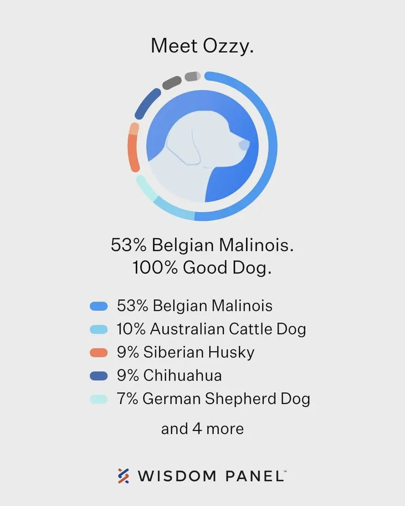 Ozzy Pawsborne thumbnail 2