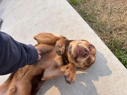 Tucker Jones thumbnail 2