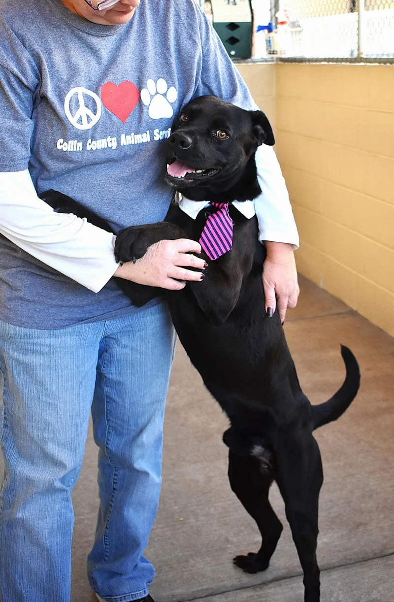 Midnight thumbnail 2