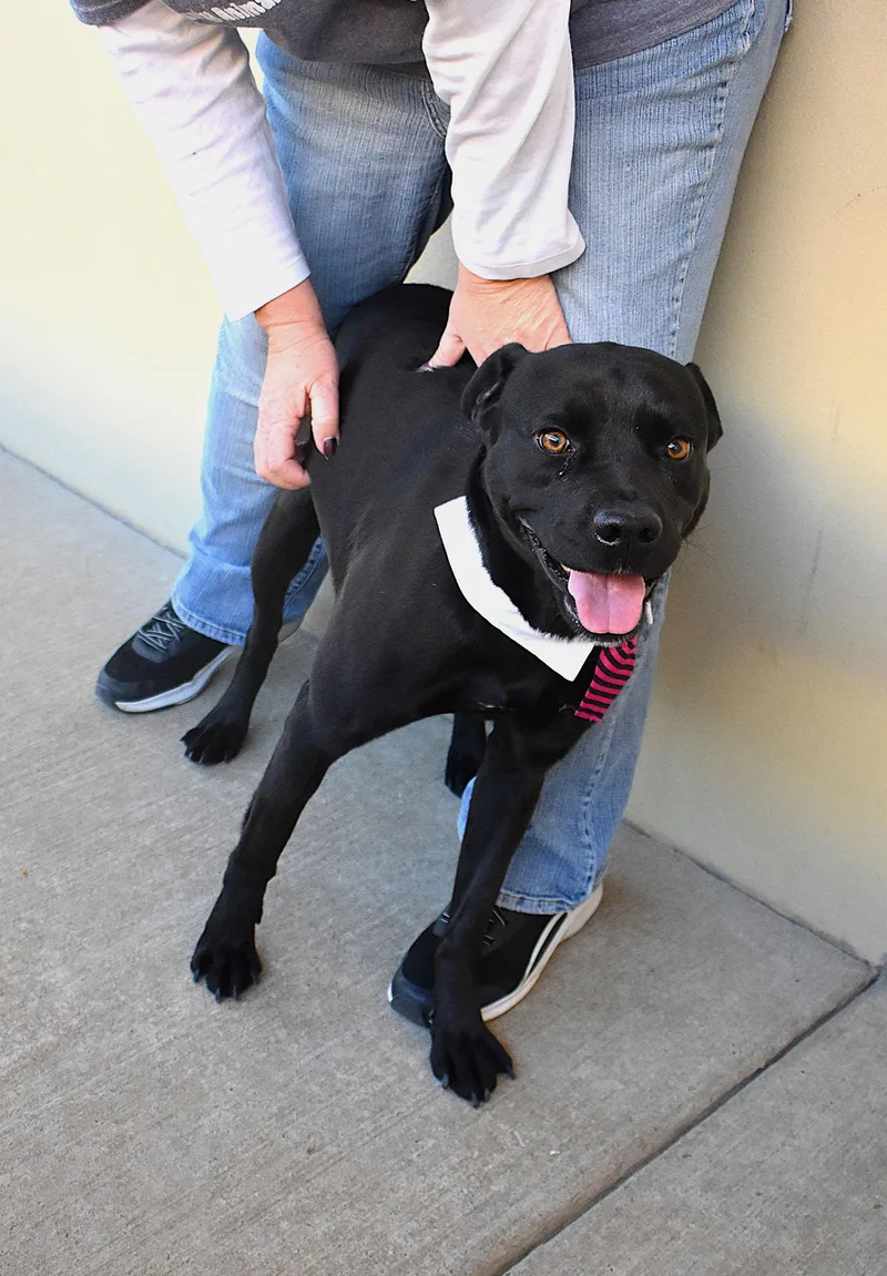 Midnight thumbnail 3