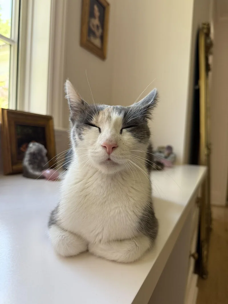 Delphine thumbnail 2