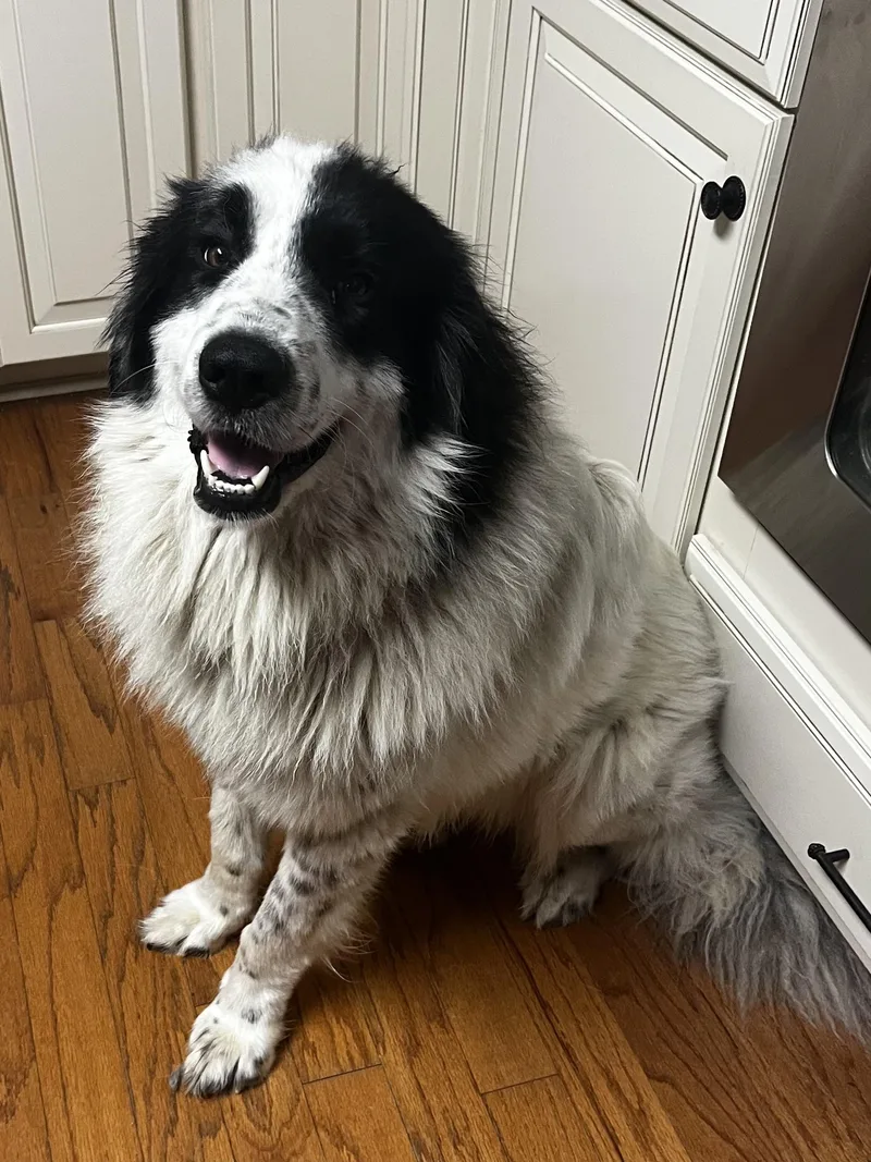 Jack Rider thumbnail 2