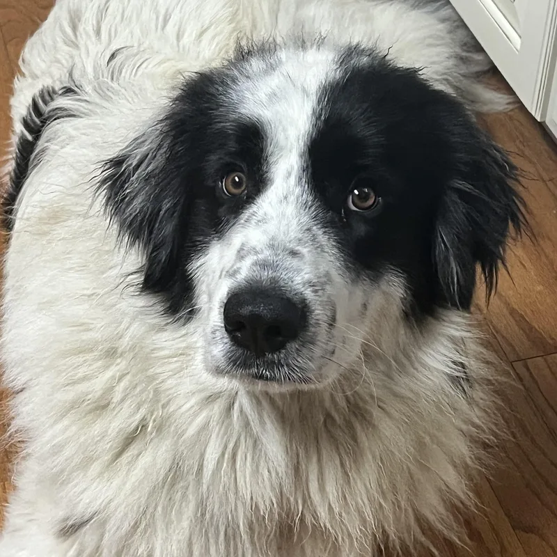 Jack Rider thumbnail 3