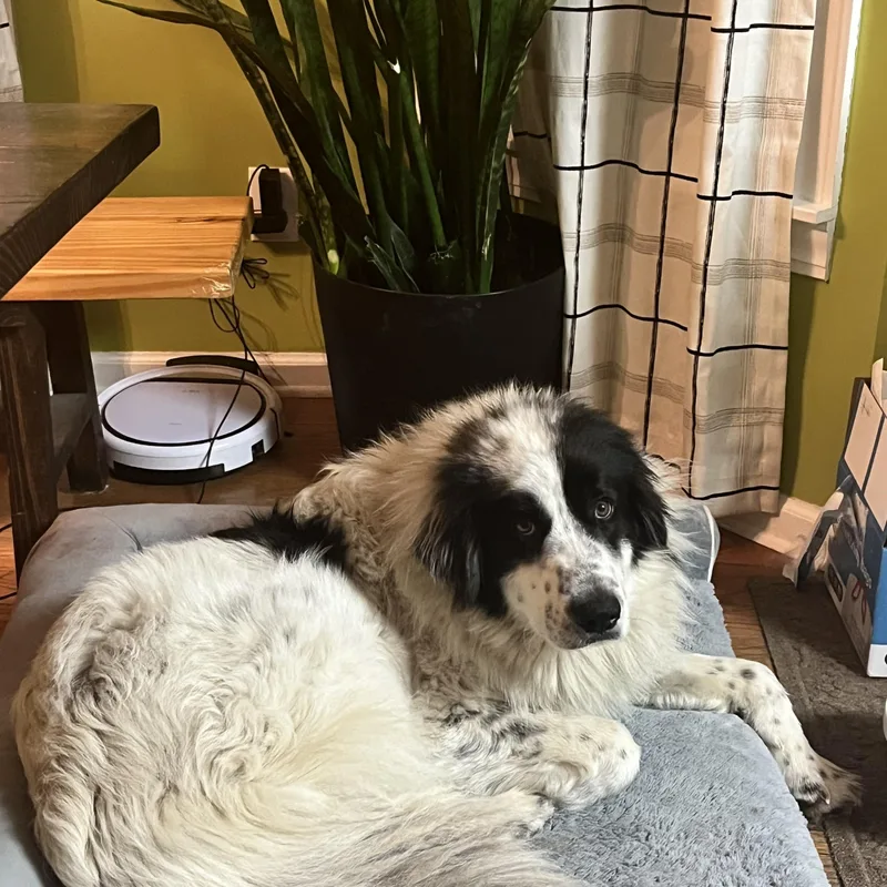 Jack Rider thumbnail 4