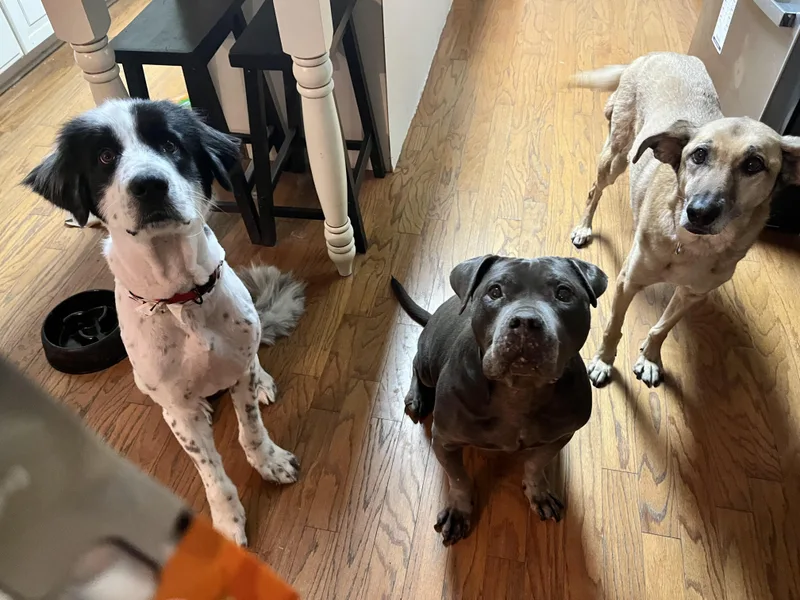 Jack Rider thumbnail 5