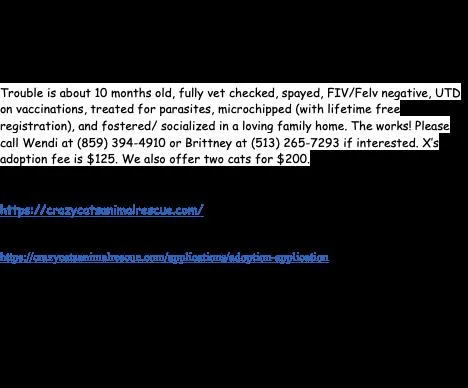 Mushroom thumbnail 2