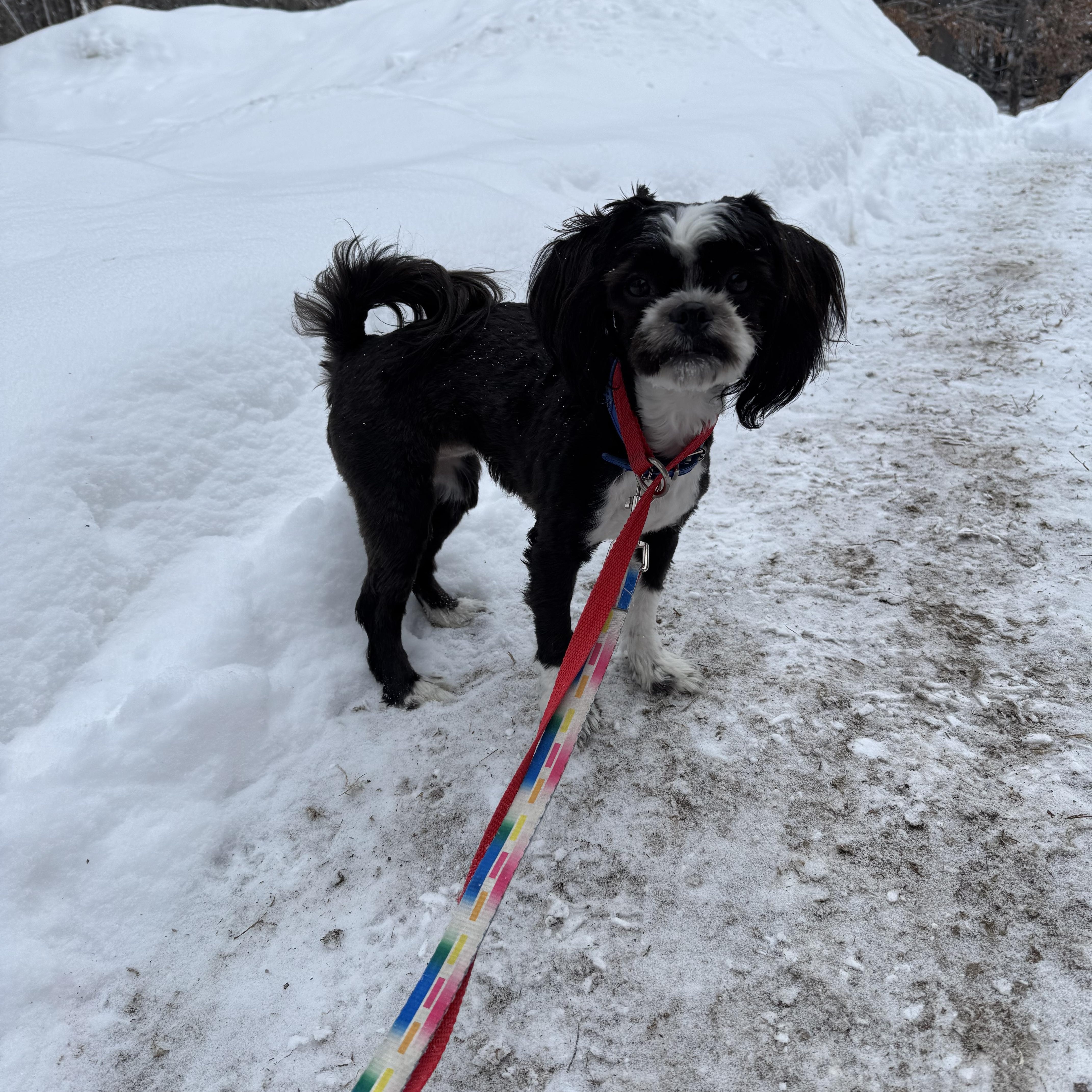 Fiona  "fifi" thumbnail 3