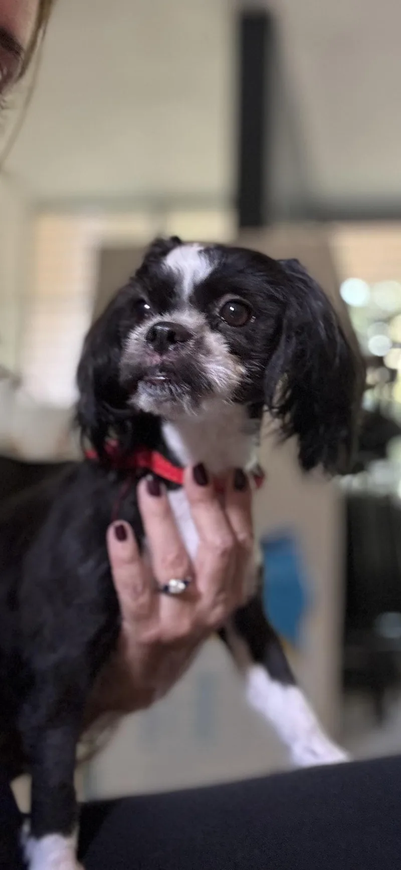 Fiona  "fifi" thumbnail 4